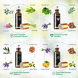 Великий Подарунковий набір Натуральних Ефірних Масел Оригінал 28 шт Premium Essential Oils MAYJAM, фото 5