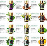 Подарунковий набір Аромадіфузор та Ефірні Масла 28 шт Premium Essential Oils MAYJAM, фото 4