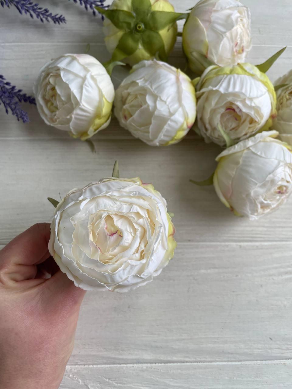 Троянда головка " Королівська " кремова    20 шт