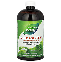 Chlorofresh Liquid Chlorophyll Mint 132 мг Nature's Way 473.2 мл