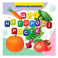 Гр Моя перша книжка "Що росте на городі" (20) 9789669754462