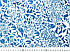 Армані діджтл абстракція, синій, фото 4