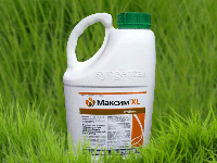 Протравитель Мaкcим XL 035 FS для сои, подсолнечника, кукурузы, гороха, парса, сахарной свеклы