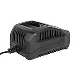 Зарядний пристрій для акумуляторів Vitals Master LSL 1824P SmartLine, фото 4
