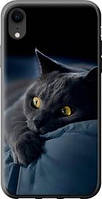 Чехол на iPhone XR Дымчатый кот "825u-1560-63117"