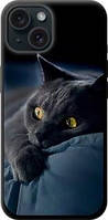 Чехол на iPhone 15 Дымчатый кот "825b-3075-63117"