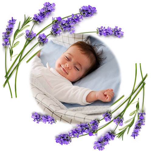 Антиколиковая грелка для новорожденных BabyOno 16×13 см. Грелка от коликов детская с ароматом лаванды Розовая - фото 5 - id-p2118795753
