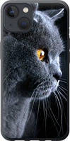 Чехол на iPhone 13 Красивый кот "3038u-2374-63117"