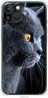 Чехол на iPhone 13 Красивый кот "3038sp-2374-63117"