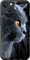 Чехол на iPhone 13 Красивый кот "3038b-2374-63117"