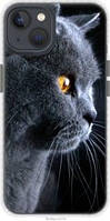 Чехол на iPhone 13 Красивый кот "3038pc-2374-63117"