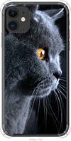 Чехол на iPhone 11 Красивый кот "3038sp-1722-63117"