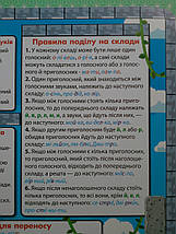 Зірка Килимок навчальний Укр мова 1-4 кл А3, фото 5