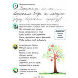 1 клас Післябукварик Запольська А.Т. Абетка, фото 4