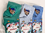 Шкарпетки дитячі стрейч  (Демісезонні) Варос, фото 2