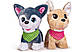 Ігровий набір Chi Chi Love Друзі цуценята 2 види 5893243, фото 2