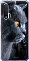Чехол на Huawei Nova 6 Красивый кот "3038u-1821-18101"