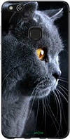 Чехол на Huawei P10 Lite Красивый кот "3038u-896-18101"