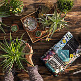 Субстрат Lechuza BasicPON 6 л для чутливих рослин (Лечуза, Німеччина), фото 6