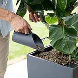 Субстрат Lechuza BasicPON 6 л для чутливих рослин (Лечуза, Німеччина), фото 7