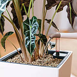 Субстрат Lechuza BasicPON 6 л для чутливих рослин (Лечуза, Німеччина), фото 10