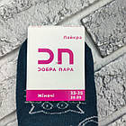 Шкарпетки жіночі середні весна/осінь р.23-25 ​​"КОТИК-мордочка" асорті Добра Пара лайкра 30030564, фото 4