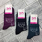 Шкарпетки жіночі середні весна/осінь р.23-25 ​​"КОТИК-мордочка" асорті Добра Пара лайкра 30030564, фото 2