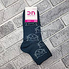 Шкарпетки жіночі середні весна/осінь р.23-25 ​​"КОТИК-мордочка" асорті Добра Пара лайкра 30030564, фото 3