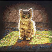 4582 Пухнасте Кошеня. Classic Design