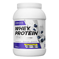 Протеин OstroVit Whey Protein, 700 грамм Черника EXP