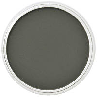 PanPastel Панпастель - 660.1 Chromium Green Extra Dark