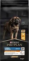 Сухий корм для собак Purina Pro Plan Dog Large Adult Robust з куркою 14 кг