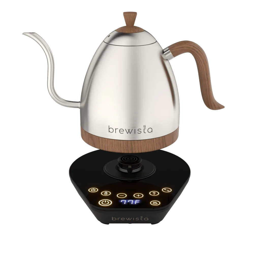 BREWISTA Artisan 1,0 л чайник зі контролем температури - нержавіюча сталь