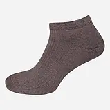 Набір чоловічих шкарпеток коротких бавовняних Лео Сітка спорт 5 пар 40-45 Асорті, фото 3