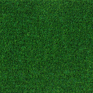 Декоративна трава Congrass Java 20 4.0 m