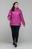 Жіноча весняна куртка Кассандра малина, розміри 48-58, фото 7