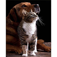 Алмазная мозаика Дружба кошки с собакой 30х40см квадратные камни-стразы, на подрамнике, термопакет, ТМ