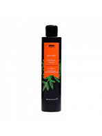 Шампунь Invidia Botoplus Argan Shampoo шампунь для окрашенных волос с аргановым маслом (EIN2050) 200 мл