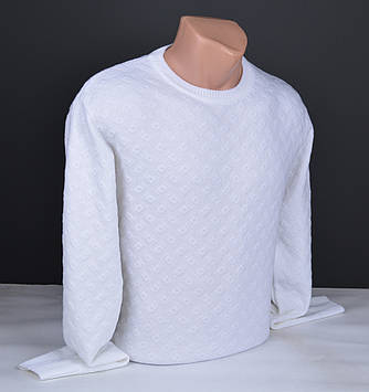 Чоловічий джемпер білий | Чоловічий светр Туреччина 9265