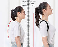 Якісний коректор постави для спини регульований бежевий розміру L 29137 L, фото 9