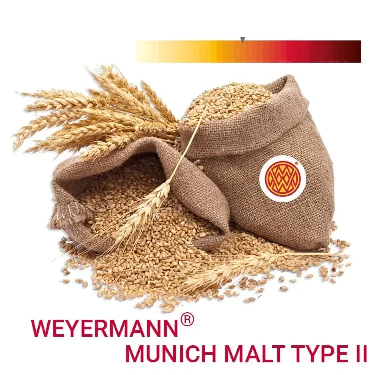 Солод ячмінний MUNICH MALT TYPE 2 - Мюнхенський 2 тип 1 кг - Weyermann Німеччина, фото 1
