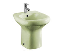 Биде напольное RAK Ceramics Compact (RAK0001) Зеленый Фарфоровое биде нежного цвета