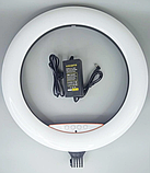 6-в-1: Лампа RL-18 45см + Штатив + Мікрофон + Пульт | кільцева лампа LJJ-45 | Led Light для блогера Tik Tok, фото 4