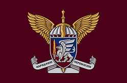 Прапор 81 бригади ДШВ ОАеМБр, 150х100 см