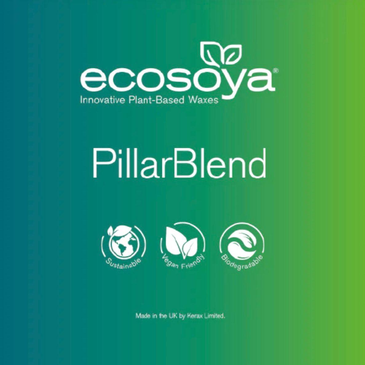 Віск для формових свічок EcoSoya Pillar Blend (0,5 кг) - фото 1 - id-p2119815469