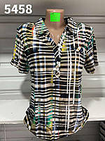 Блузка жіноча молодіжна трикотажна розміри 48-56 "VERJINIA" купити недорого від прямого постачальника