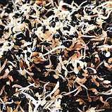 Чорний кунжут для пророщування, органічне насіння кунжуту 50 г, фото 2