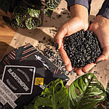 Субстрат Lechuza BlackstonePON 6 л дизайнерський (Лечуза, Німеччина), фото 6
