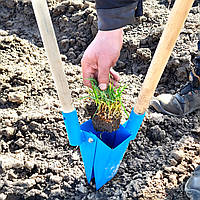 Ручна саджалка (сівалка) для розсади Кальмар садовий інструмент для посадки розсади.