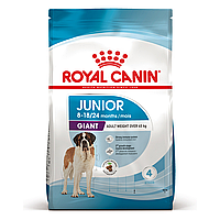 Сухой корм Royal Canin Giant Junior для щенков гигантских пород от 8 до 18-24 месяцев, 15 кг